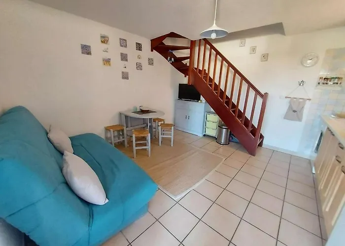 Charmante Maison 2 Pieces Cabine, Terrasse, Bbq, Parking Prive, Proche - - Fr-1-326-562 Marseillan (Herault)