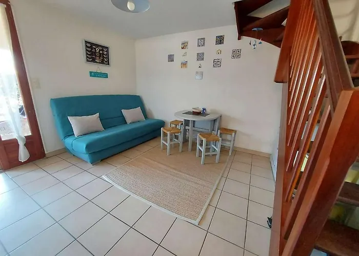 Prázdninový dům Charmante Maison 2 Pieces Cabine, Terrasse, Bbq, Parking Prive, Proche - - Fr-1-326-562 *